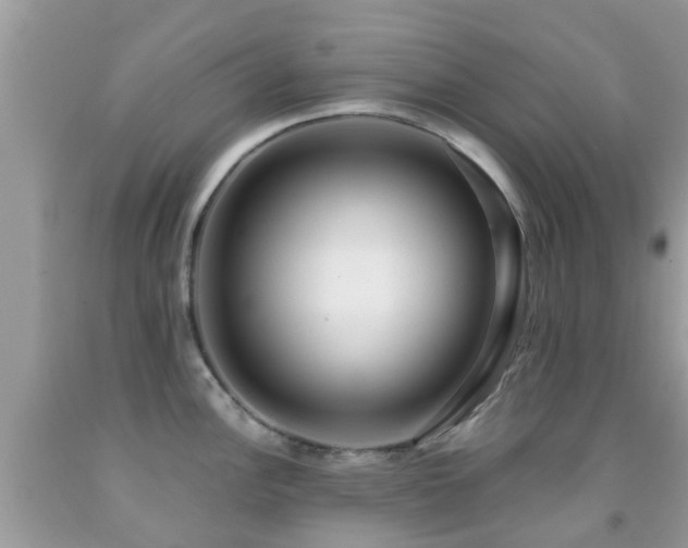 X0000091961148200709061256