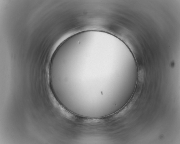 X0000091961150200709061256