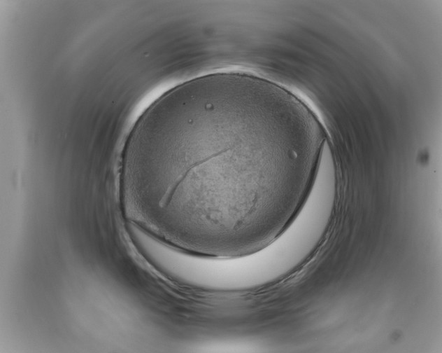 X0000091961151200709061256