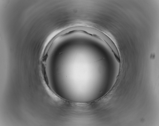 X0000091961152200709061256