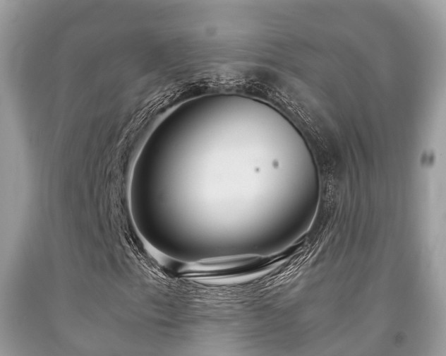 X0000091961153200709061256