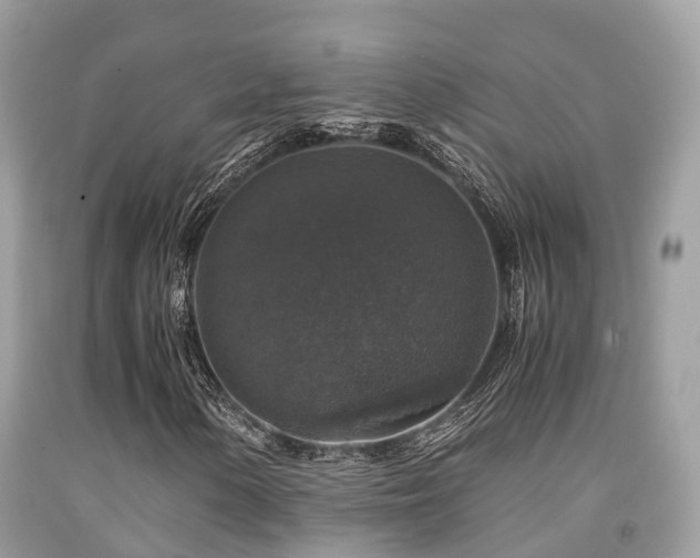 X0000091961154200709061256