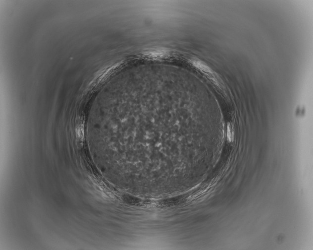 X0000091961155200709061256