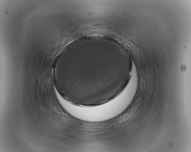 X0000091961156200709061256