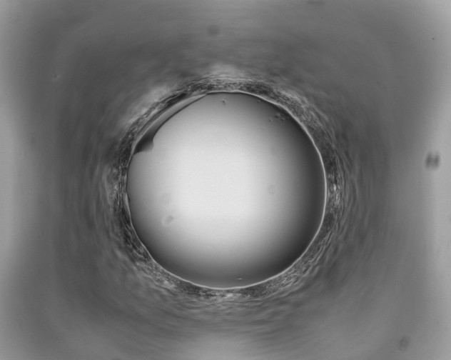 X0000091961157200709061256