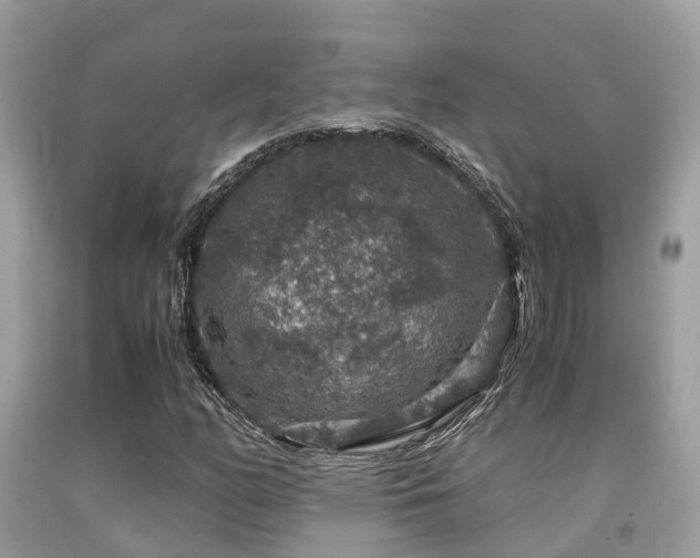 X0000091961158200709061256