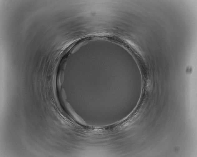 X0000091961161200709061256