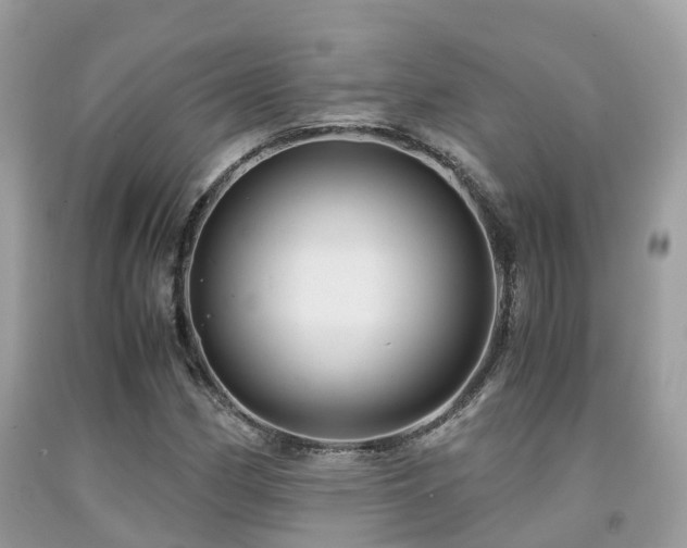 X0000091961162200709061255