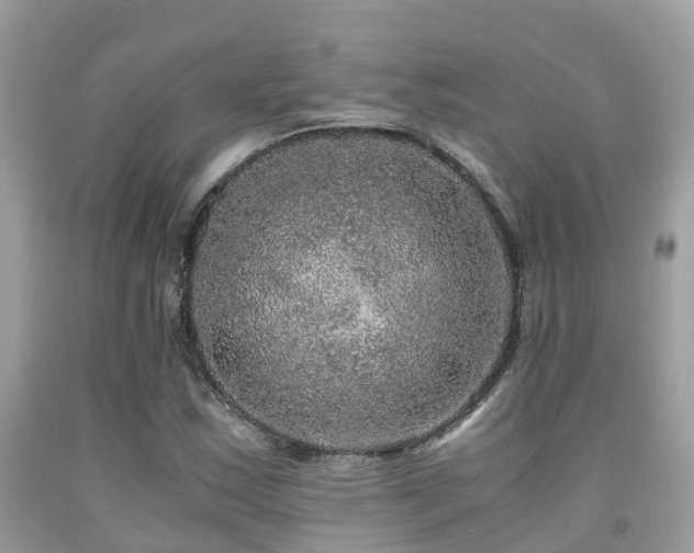 X0000091961163200709061255