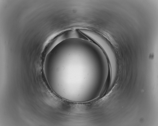 X0000091961164200709061255