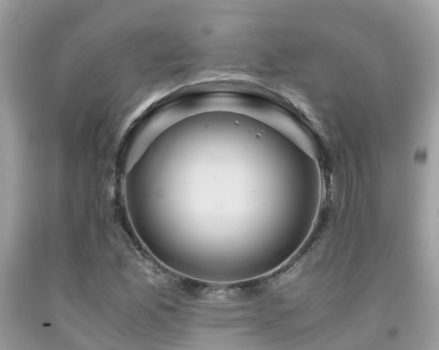 X0000091961165200709061255