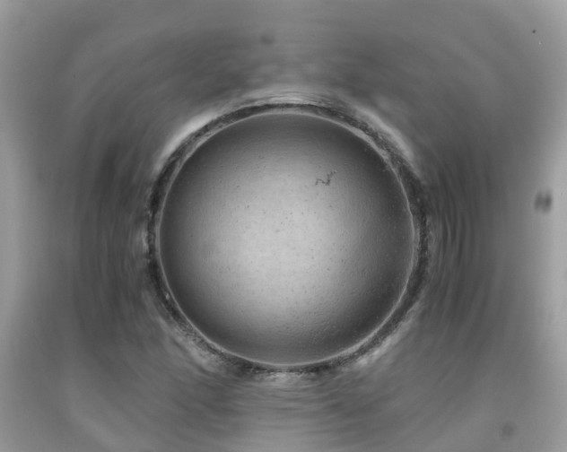 X0000091961166200709061255