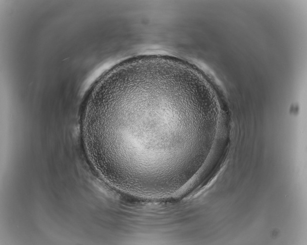 X0000091961167200709061255