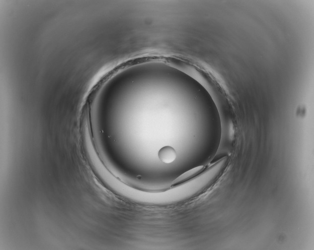 X0000091961168200709061255