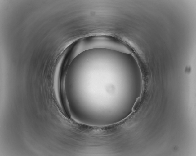 X0000091961169200709061255