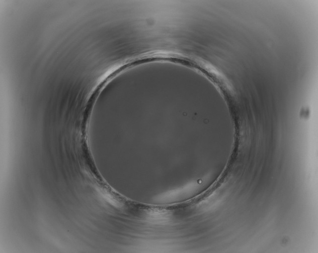 X0000091961170200709061255