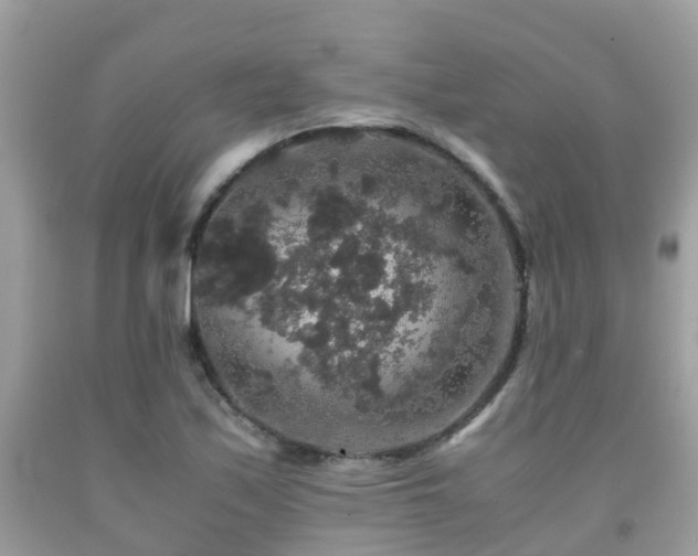 X0000091961171200709061255