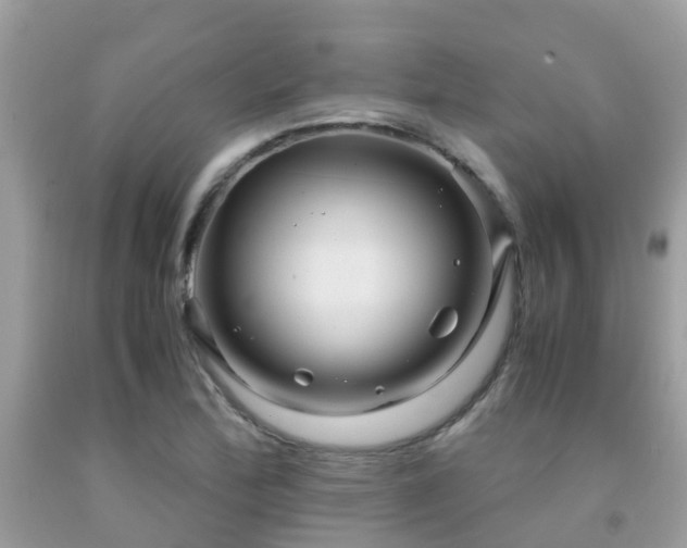 X0000091961172200709061255