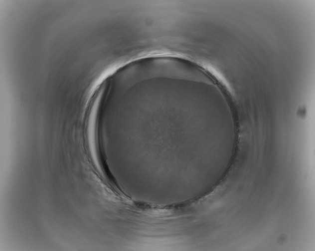 X0000091961173200709061255