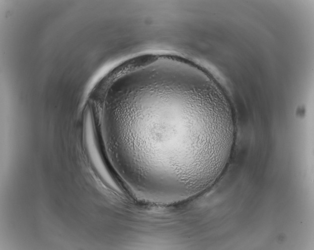 X0000091961175200709061255