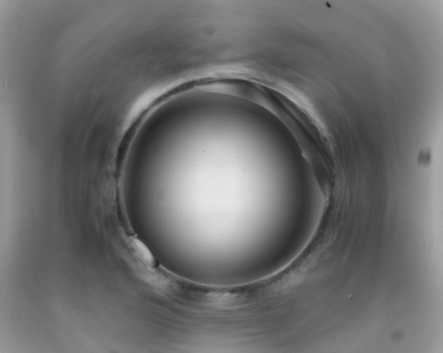 X0000091961176200709061255