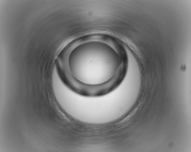 X0000091961177200709061255