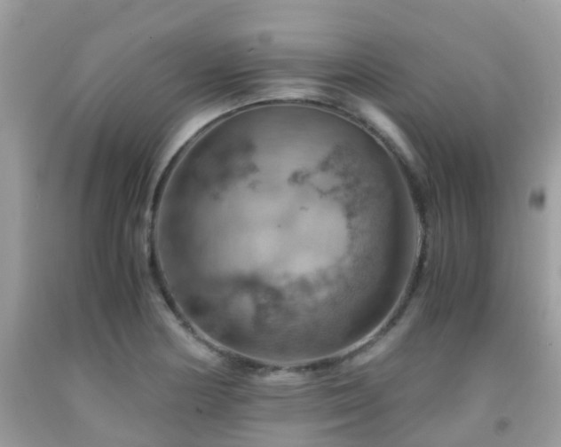 X0000091961178200709061255