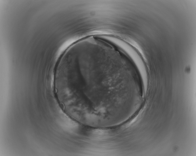 X0000091961179200709061255