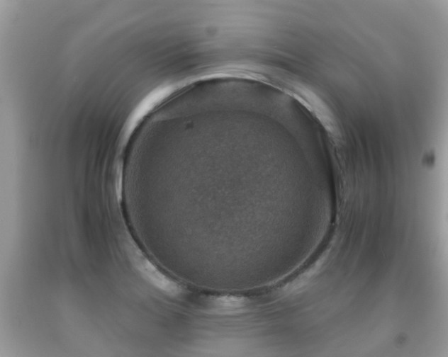 X0000091961180200709061255