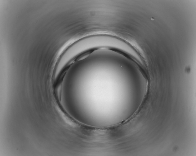 X0000091961181200709061255