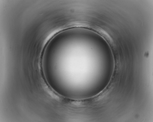 X0000091961182200709061255