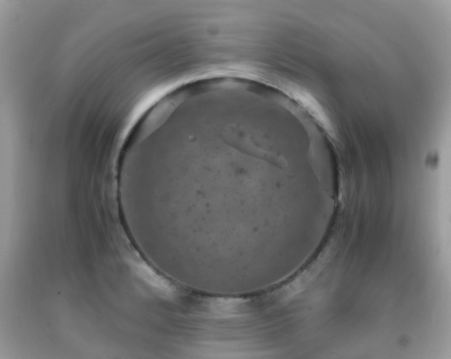 X0000091961184200709061255