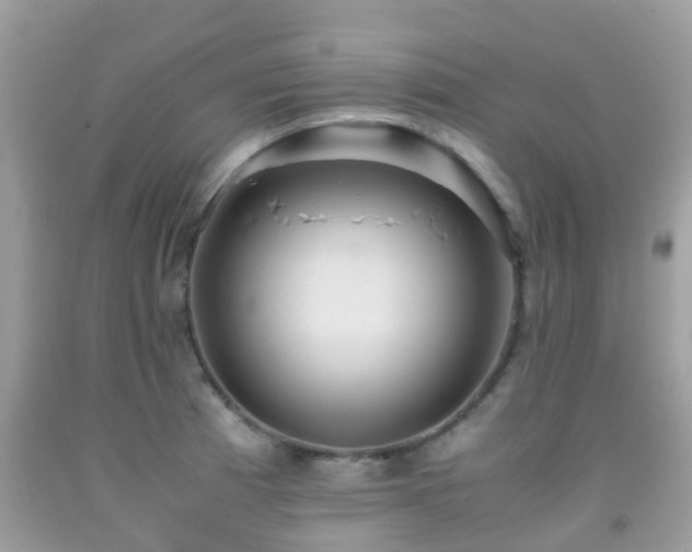 X0000091961185200709061255