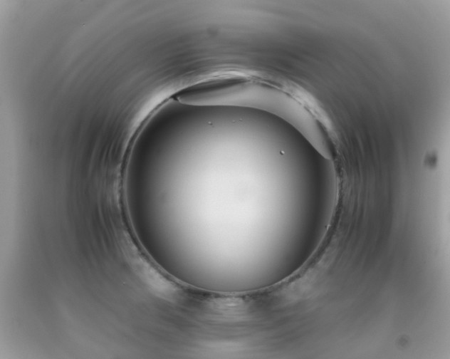 X0000091961186200709061255