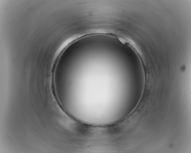 X0000091961187200709061255