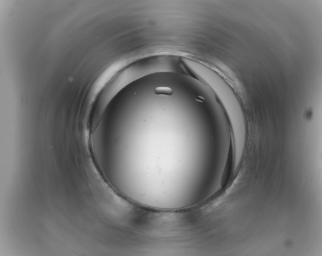 X0000091961188200709061255