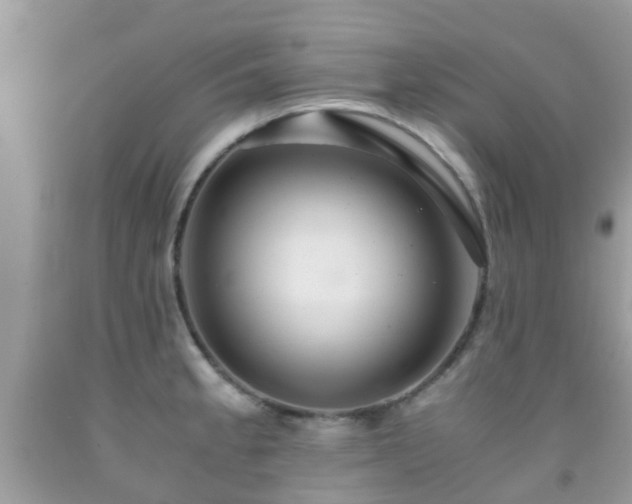 X0000091961189200709061255