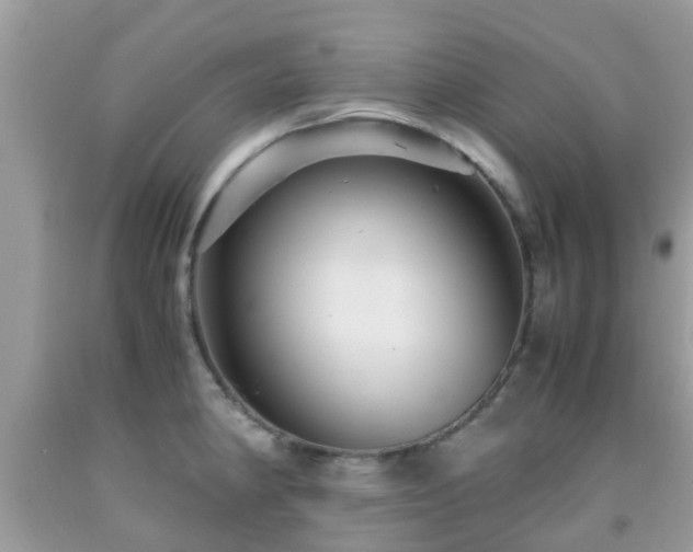 X0000091961190200709061255