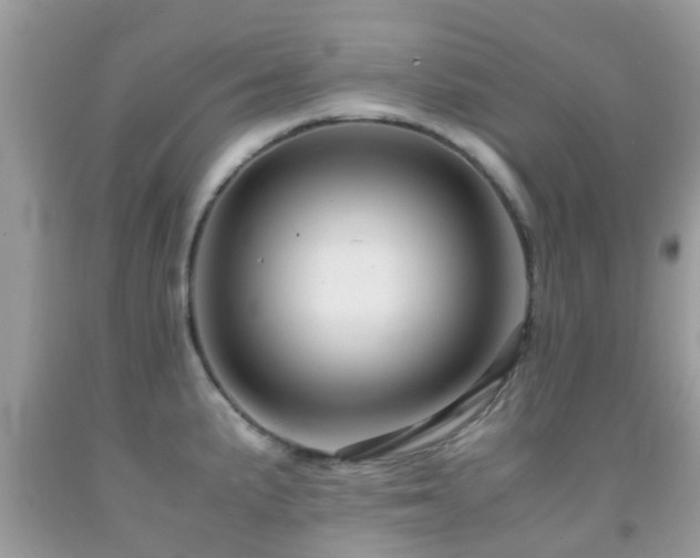 X0000091961191200709061255