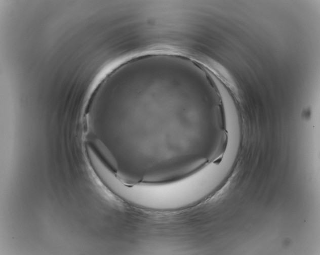 X0000091961192200709061255