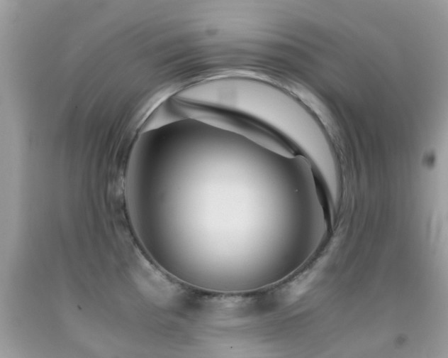 X0000091961193200709061255