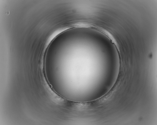 X0000091961195200709061255