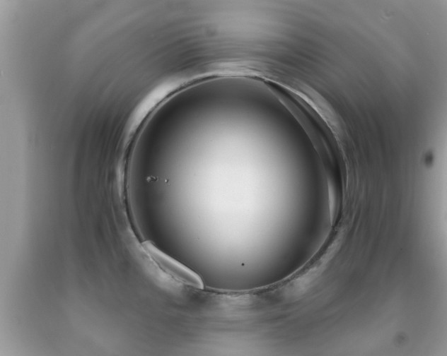 X0000091961196200709061255