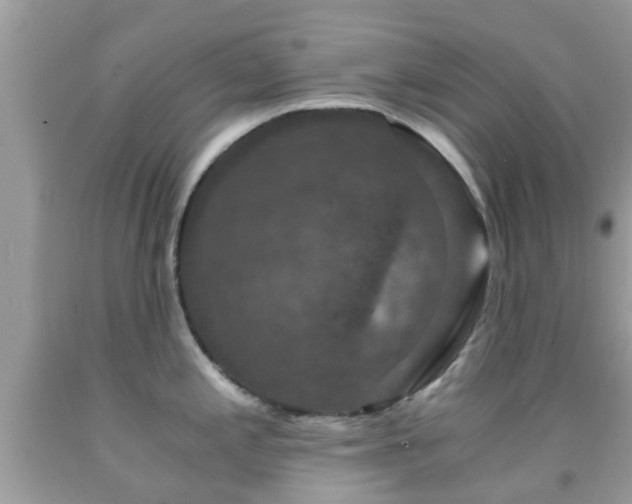 X0000091961197200709061255