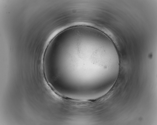 X0000091961199200709061255