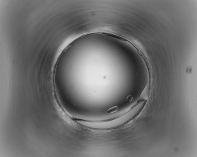 X0000091961200200709061255