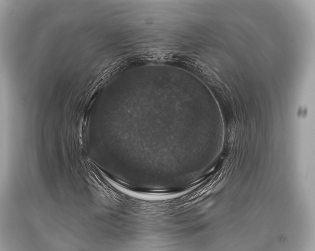 X0000091961202200709061254