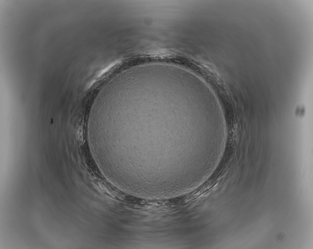 X0000091961205200709061254