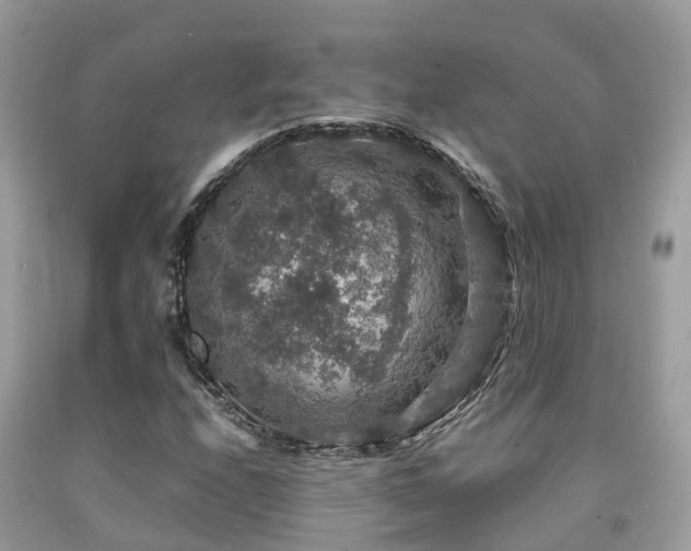 X0000091961208200709061254