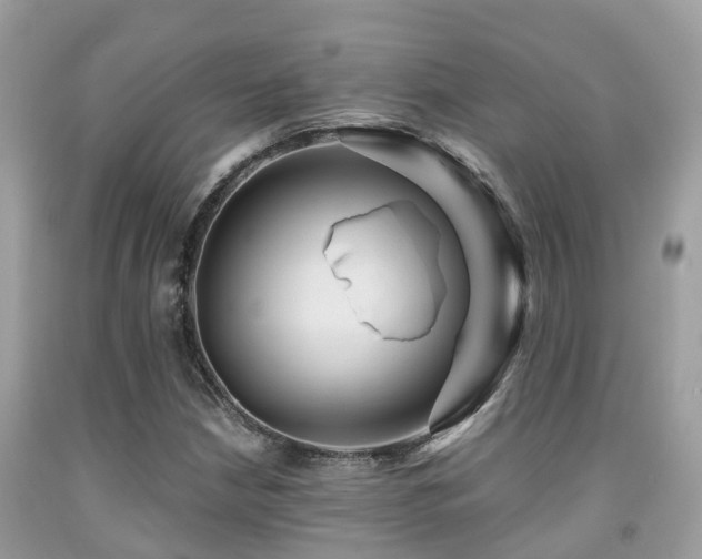 X0000091961210200709061254